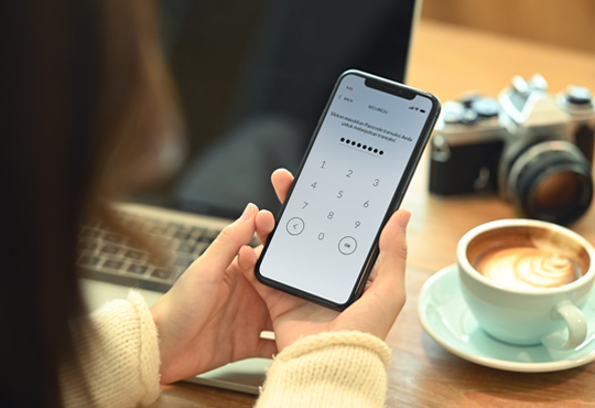 Protect Personal and Banking Data for Digital Transactions 